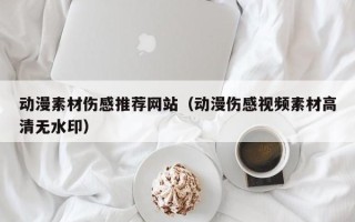 正定动漫素材伤感推荐网站（动漫伤感视频素材高清无水印）